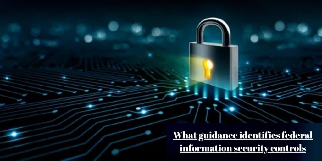 What guidance identifies federal information security controls