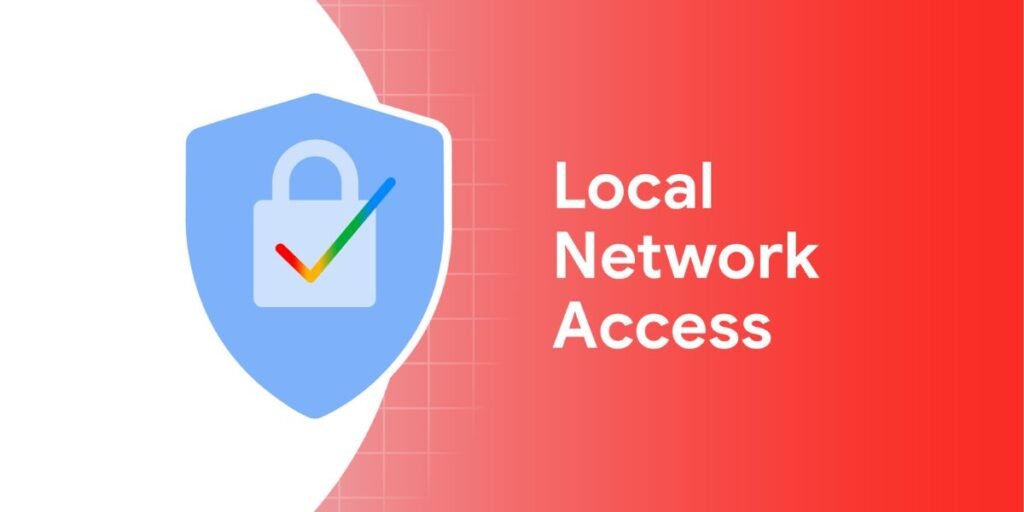 edge flags local network access check